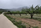 Parcel·la urbanitzable en venda a la Hondares, Moratalla, ref.: TR109593 foto