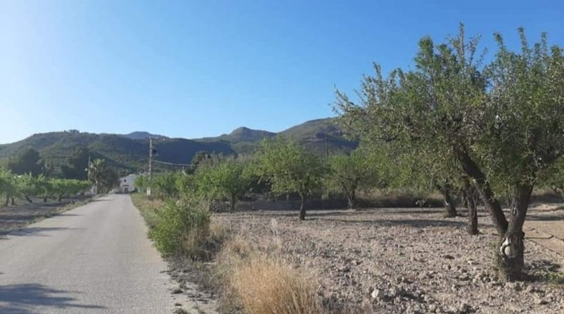 Murcia - Moratalla - 70406m2