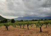 Parcel·la urbanitzable en venda a la Hondares, Moratalla, ref.: TR109593 foto