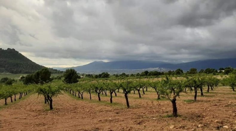 Murcia - Moratalla - 70406m2
