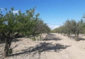 Parcel·la urbanitzable en venda a la Hondares, Moratalla, ref.: TR109593 foto