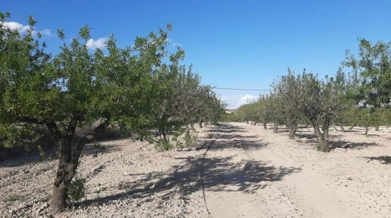 Murcia - Moratalla - 70406m2