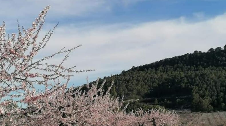 Murcia - Moratalla - 70406m2