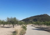 Parcel·la urbanitzable en venda a la Hondares, Moratalla, ref.: TR109593 foto