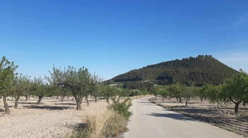 Murcia - Moratalla - 70406m2