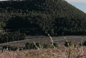 Foto 11