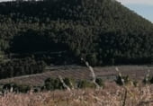 Parcel·la urbanitzable en venda a la Hondares, Moratalla, ref.: TR109593 foto