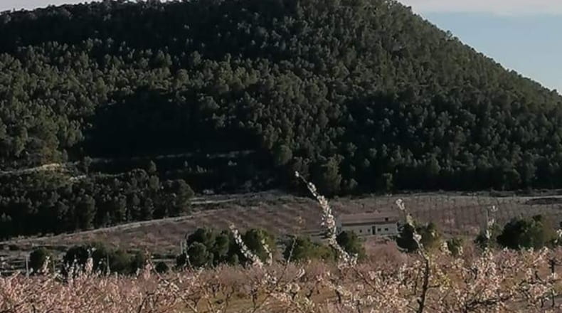 Murcia - Moratalla - 70406m2