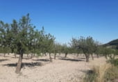 Parcel·la urbanitzable en venda a la Hondares, Moratalla, ref.: TR109593 foto