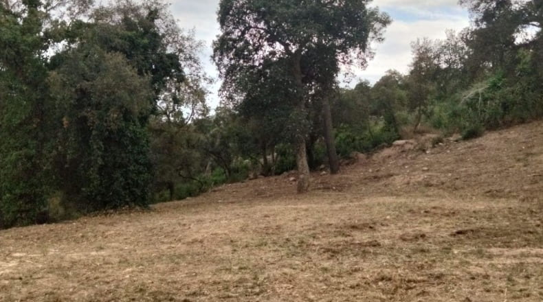 Gerona - Llagostera - 1202m2