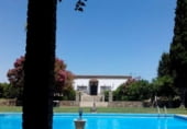 Detached villa with land for sale on A-436, Lora del Río, ref: TR109734 photo