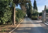 Detached villa with land for sale on A-436, Lora del Río, ref: TR109734 photo
