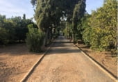 Detached villa with land for sale on A-436, Lora del Río, ref: TR109734 photo