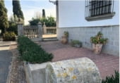 Detached villa with land for sale on A-436, Lora del Río, ref: TR109734 photo