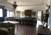Detached villa with land for sale on A-436, Lora del Río, ref: TR109734 photo