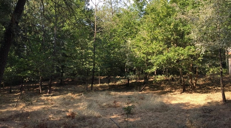 Orense - Ferreiros - 800m2