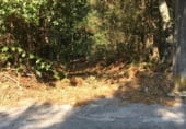 Farm for sale on Ferreiros, ref: TR109984 photo