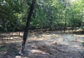 Farm for sale on Ferreiros, ref: TR109984 photo