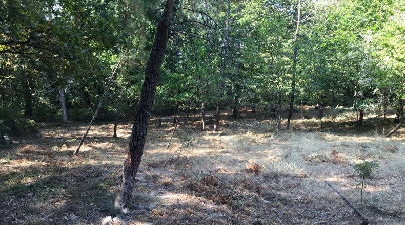 Orense - Ferreiros - 800m2
