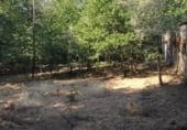 Farm for sale on Ferreiros, ref: TR109984 photo