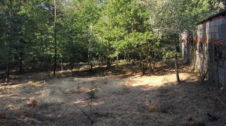Orense - Ferreiros - 800m2