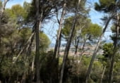 Land suitable for development for sale on Carrer del Gamarús, Sant Quirze del Vallès, ref: TR109981 photo