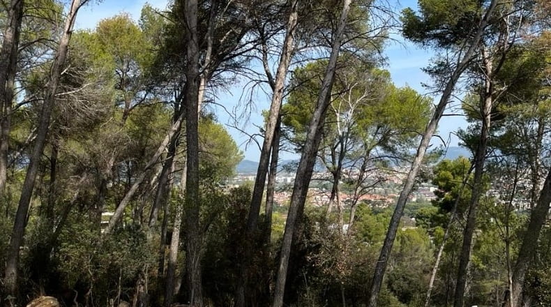 Barcelona - Sant Quirze del Vallès - 2000m2