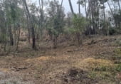 Land suitable for development for sale on Carrer del Gamarús, Sant Quirze del Vallès, ref: TR109981 photo