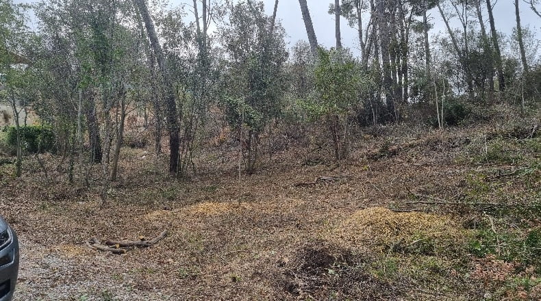 Barcelona - Sant Quirze del Vallès - 2000m2