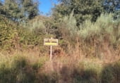 Non-developable land for sale on Polígono 502 Parcela 270, Os Blancos, ref: TR110056 photo