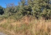 Non-developable land for sale on Polígono 502 Parcela 270, Os Blancos, ref: TR110056 photo