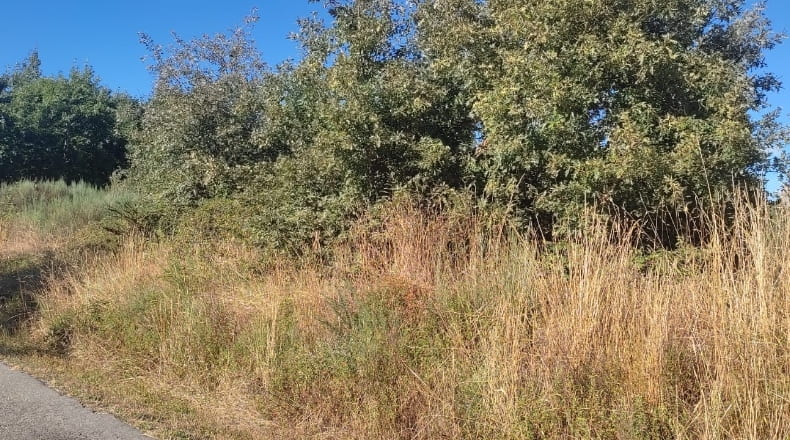 Orense - Os Blancos - 6000m2