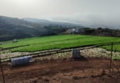 Terreny no urbanitzable en venda a la Diseminado Paso María de los Santos, Santa María de Guía de Gran Canaria, ref.: TR102502 foto