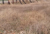 Parcel·la urbanitzable en venda a la Carrer de la Cobertera, Calafell, ref.: TR110110 foto