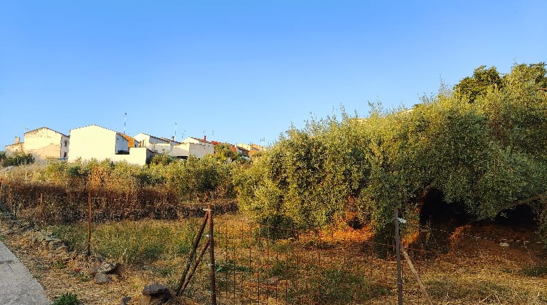 Córdoba - Azuel - 479m2