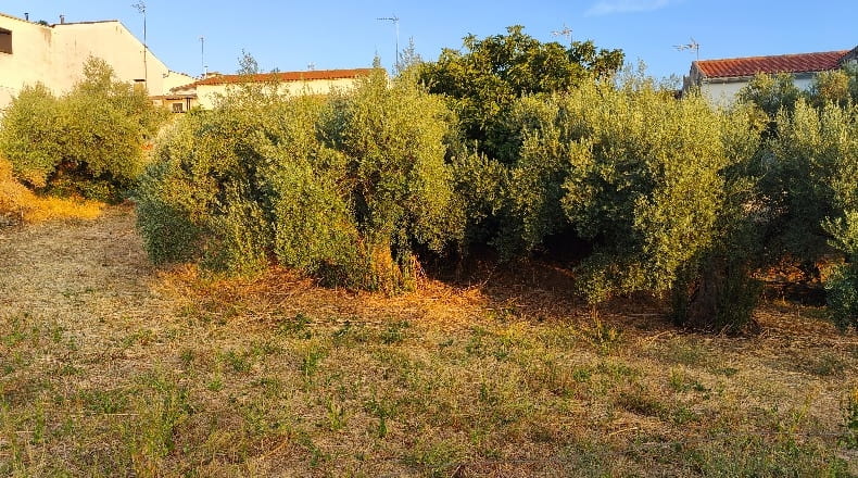 Córdoba - Azuel - 479m2