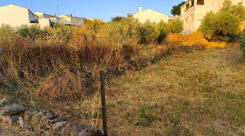 Córdoba - Azuel - 479m2