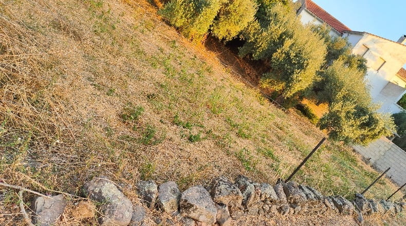 Córdoba - Azuel - 479m2