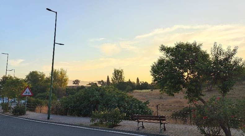 Córdoba - Azuel - 479m2