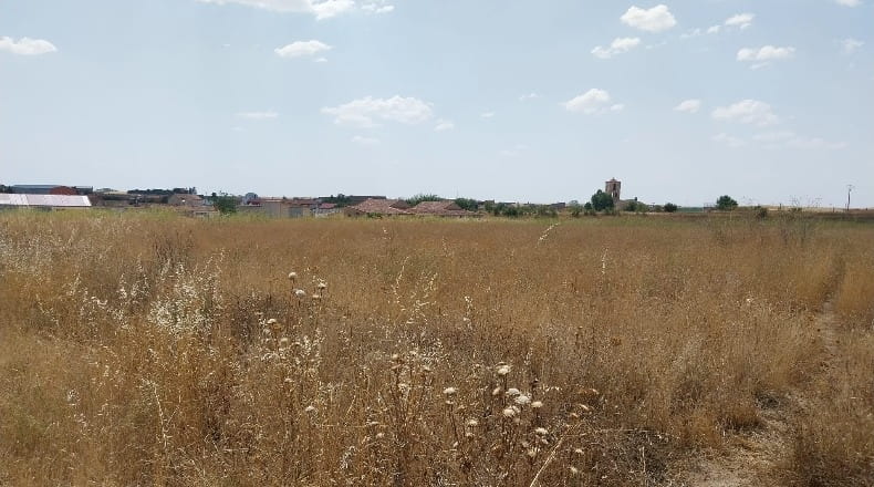 Zamora - Cubillos - 15880m2