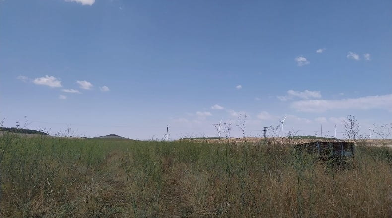 Zamora - Cubillos - 15880m2