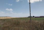 Земля на продажу у города Cubillos Фото