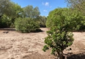 Country house with land for sale on Nájara, ref: TR110161 photo