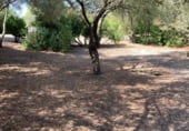 Country house with land for sale on Nájara, ref: TR110161 photo