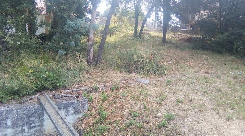 Barcelona - Sant Pere de Vilamajor - 625m2
