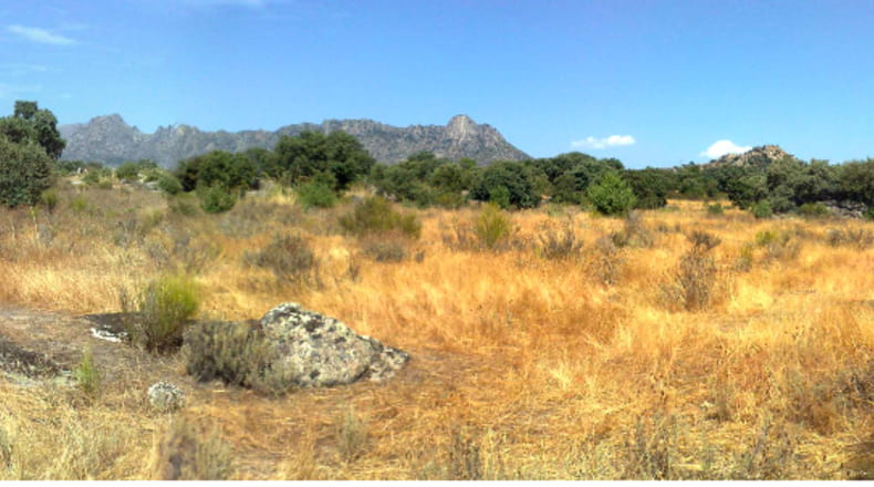 Community of Madrid - La Cabrera - 73800m2