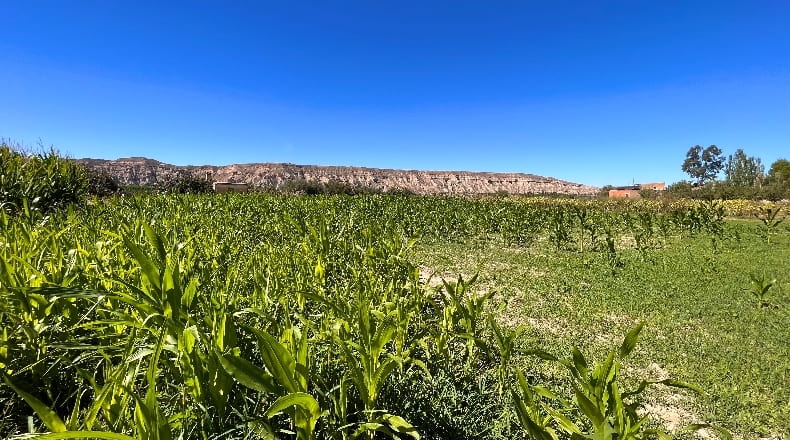 Granada - Benalúa - 9584m2