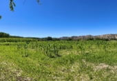 Terreno no urbanizable en venta en la Benalúa de Guadix, Benalúa, ref: TR110169 foto