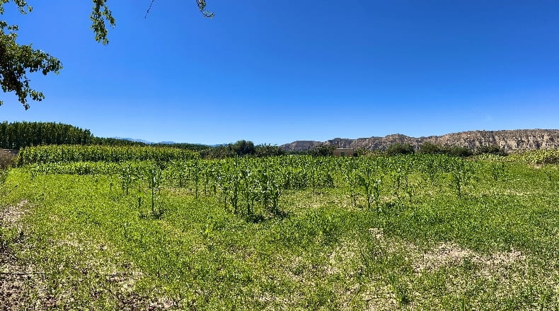 Granada - Benalúa - 9584m2