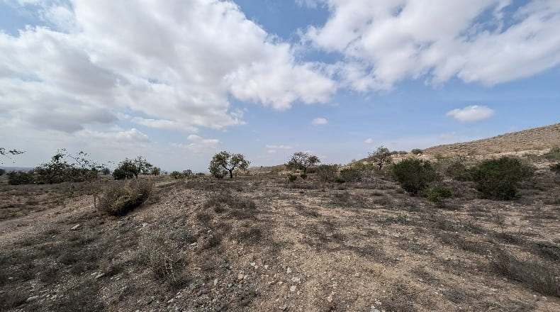 Murcia - Cartagena - 96126m2
